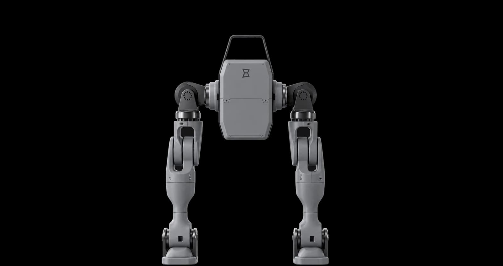 Open CoPAEI lower body: torso module on two legs, front view